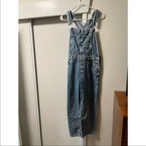 Free people overalls